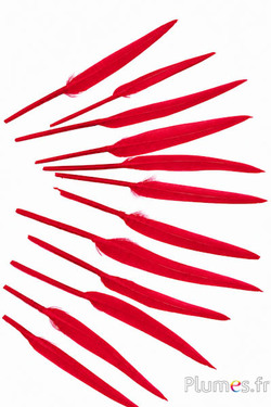 Gans - 5-8 cm - rood-karmijn